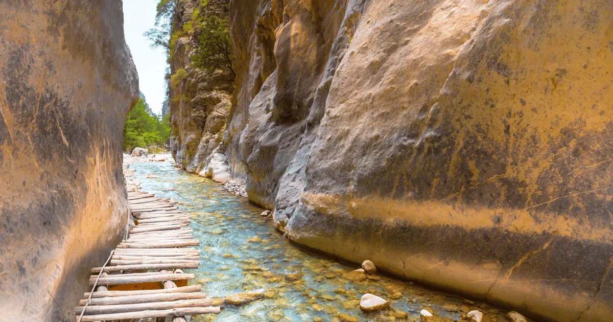 Trail through pine forest in Samaria Gorge on a guided hike, Crete Greece